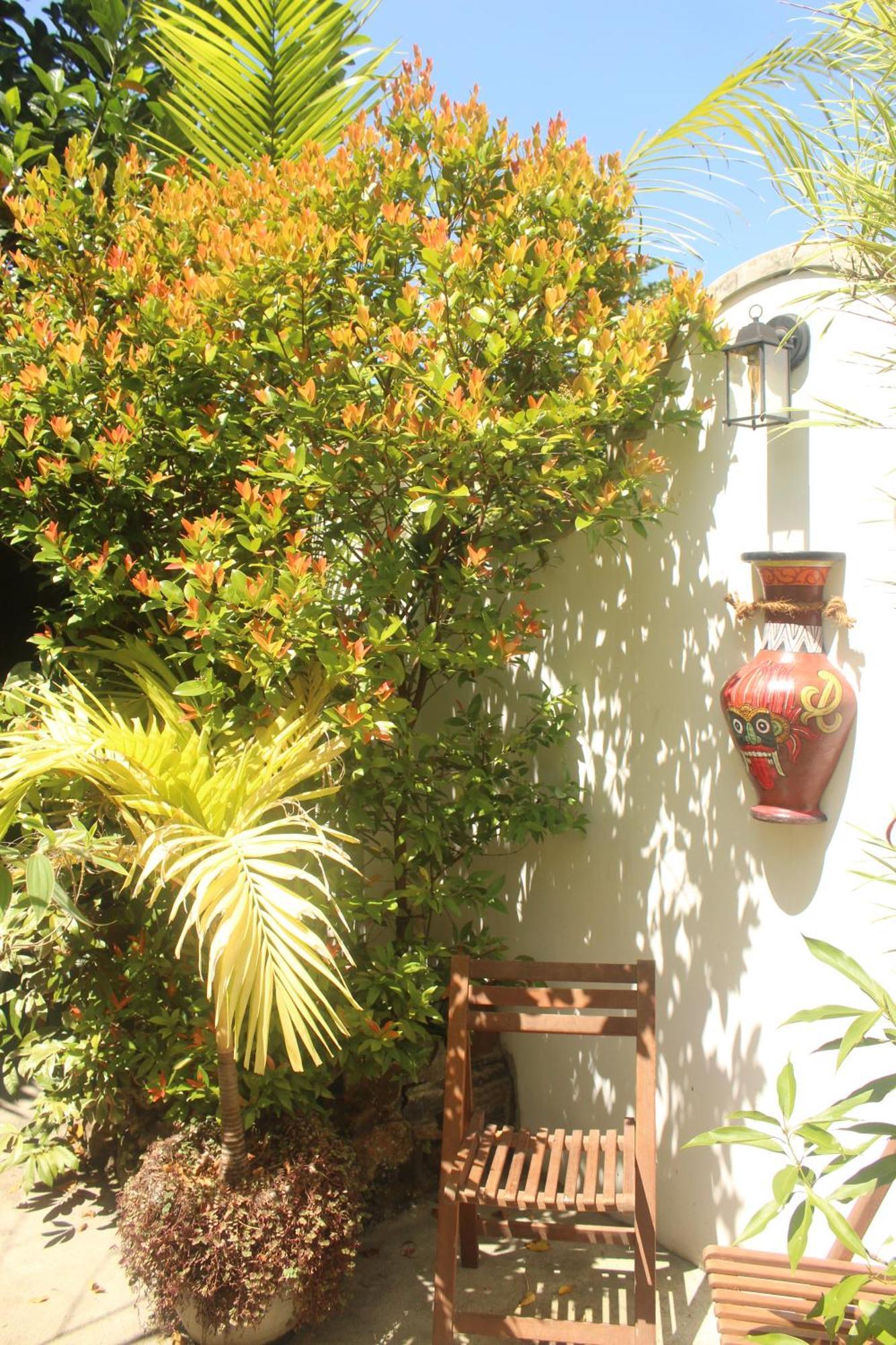 Villa Olde Ceylon Κάντι Εξωτερικό φωτογραφία